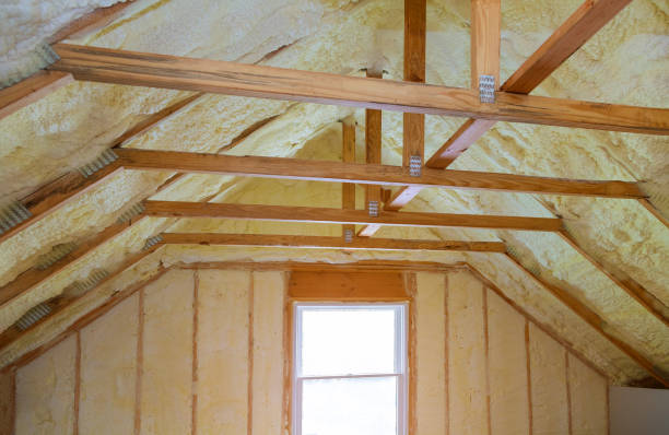 Best Wall Insulation Contractor  in Perrysburg, OH