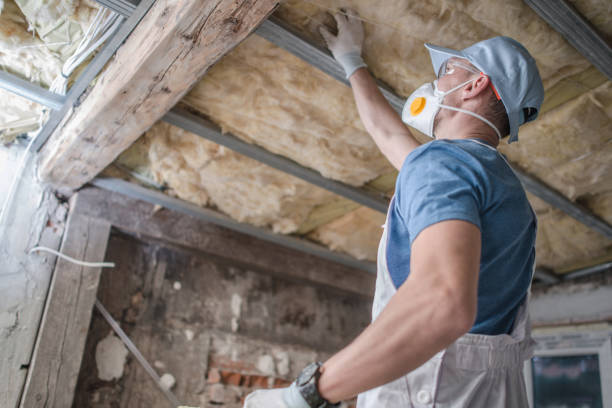 Best Insulation Repair Services  in Perrysburg, OH