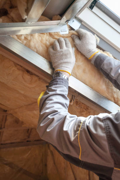 Best Attic Insulation Installation  in Perrysburg, OH