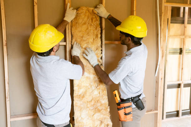 Best Residential Insulation Services  in Perrysburg, OH