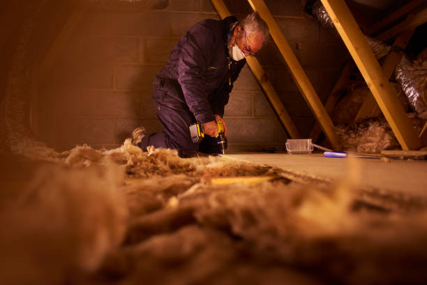 Best Cellulose Insulation  in Perrysburg, OH