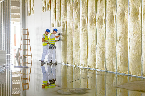 Best Commercial Insulation Contractor  in Perrysburg, OH